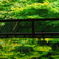 夏の 瑠璃光院