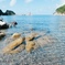 外浜海岸