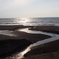 海