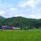 南丹6(京都)