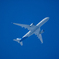 本日の我が家上空　スカンジナビア航空