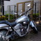 HONDA MAGNA
