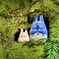 中トトロと小トトロ