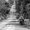 波打つ路