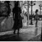 monochrome