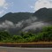 雨上がり　四国山地