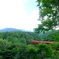 東沢大橋