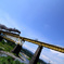 夏を謳う