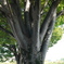 P1000995