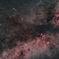 Cygnus_2025.08.01
