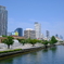 水辺の都市