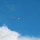 夏の空
