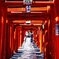 小泉稲荷神社