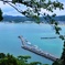 海