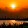 おぼろ夕日の手賀沼風景..