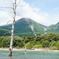 焼岳と大正池