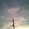鳥のいる電柱