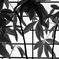障子と観葉植物
