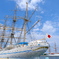 海王丸II夏空と白い船体