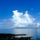 夏雲