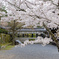 The beauty of Kyoto