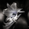 Colourful Black and White_00