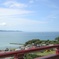 高台から