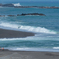 思い出の海