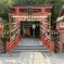 祐徳稲荷神社