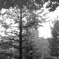 「summer afternoon」 (film)