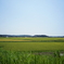 風景写真　DSC00834
