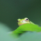 少し大きくなりました。