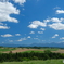 美瑛の夏