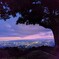 若草山からの夕景