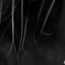 Monochrome:Ⅱ