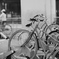 自転車たち