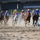 浦和競馬