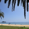 夏海暖簾