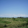 風景写真　DSC00829