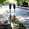 雨上がり①