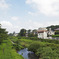 夏の野川