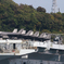 F-35B