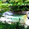 高野川で水遊び