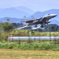 jackall 3805