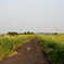 利根川沿岸6