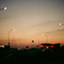 On the way home (Film)