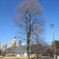 公園にて