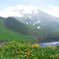 鳥海山の夏