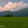 夏の光景