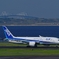 飛行機と一緒に撮るもの